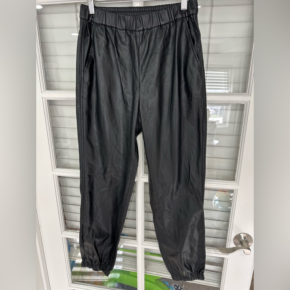 Zsupply Faux Leather Jogger